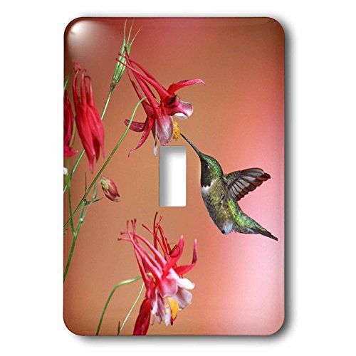 Cubierta de interruptor de luz 3dRose lsp_259296_1 placa decorativa pared 2