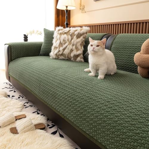 KAMIMORI \t@Jo[ 3l| 2l| 1l| ~p n \t@[pbh 邾 It IȂ ӂӂg zM ~M RۖhL ~߉H  LYh~ zc RR ʃJo[ h~ L΍ 􂦂 O