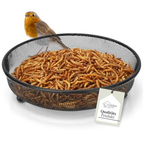 WILDLIFE HOME Futterschale Igel & Vögel I Ø18cm, Metall I Bodenfutterstelle, Boden-Futterstation, Futterspender für Vögel I Vogelfutterspender für Vogelfutter Wildvögel ganzjährig