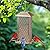 IWNTWY Bird Feeder for Outdoor, Heavy Duty Metal Wild Bird Feeders for Outside Hanging, Retro Lantern Shape Birdfeeder