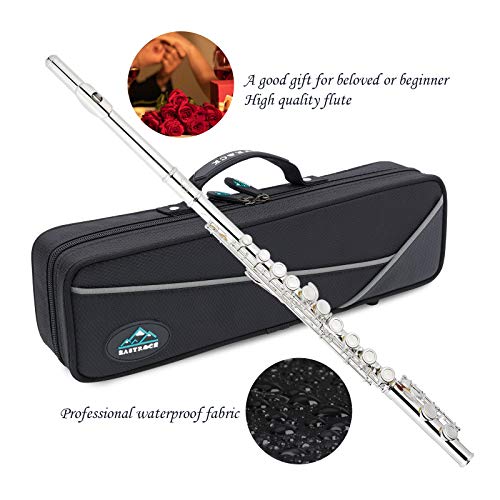 EASTROCK Silver Plated Flute Instrument for Beginner Kids Student，Closed Hole Flutes 16 Keys C Flute with Carrying Case,Stand，Cleaning kit，Gloves，Tuning Rod(Silver Plated)