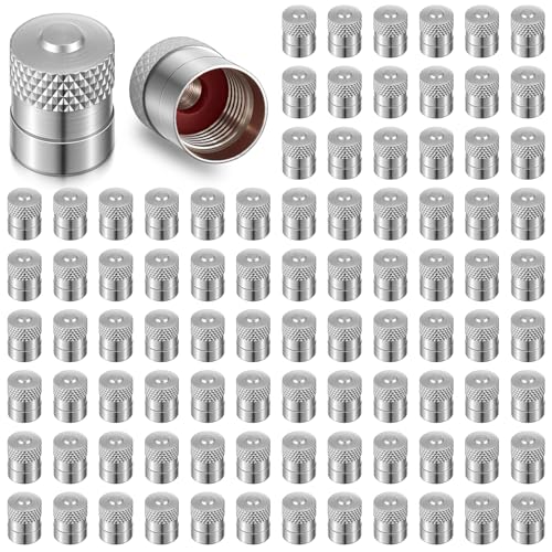 LEIFIDE Brass Valve Stem Caps