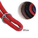 lionto Hundehalsband aus strapazierfähigem Nylon für Hundetraining, Länge 45 cm, 1 cm Dicke, Zugstopp Halsband für Hunde, Lederimitat mit Metallring & Anpassung durch stufenlosen Schieber, rot