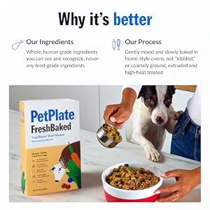 PetPlate FreshBaked Dry Canine Meals Grain-Inclusive | Human Grade Canine Kibble | Vet Designed and Formulated with Prebiotics and Postbiotics | No Fillers or by-Merchandise | 2lbs (Beef) PetPlate FreshBaked Dry Canine Meals Grain-Inclusive | Human Grade Canine Kibble | Vet Designed and Formulated with Prebiotics and Postbiotics | No Fillers or by-Merchandise | 2lbs (Beef)