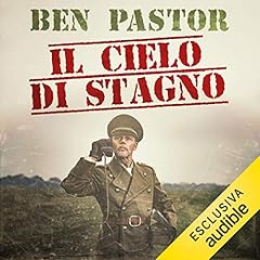 Couverture de Il cielo di stagno