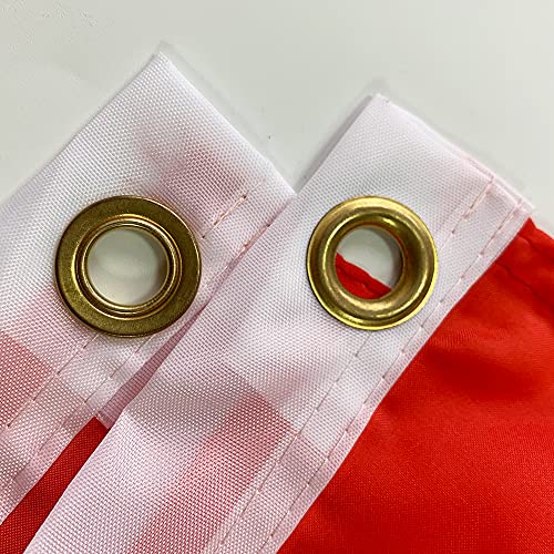 3X5Ft Pineapple American Flag With Canvas Header And Brass Grommets For Outdoor Decor #TOP5