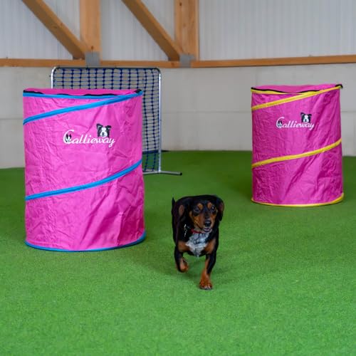 Callieway Hoopers Agility Barrel – Tonne/Fass für Hundetraining (Doppelpack, Blau) | Leicht, stabil & beschwerbar | Inkl. Transporttasche | Agility Parcours für Hunde | Fuchsia