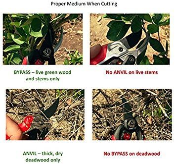 Corona Clipper BP 4214D Flex Dial Bypass Pruner With Comfort Gel Grips, 3/4 Inch, Red/Black