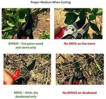 Corona Clipper Bp 4214D Flex Dial Bypass Pruner With Comfort Gel Grips, 3/4 Inch, Red/Black #TOP4