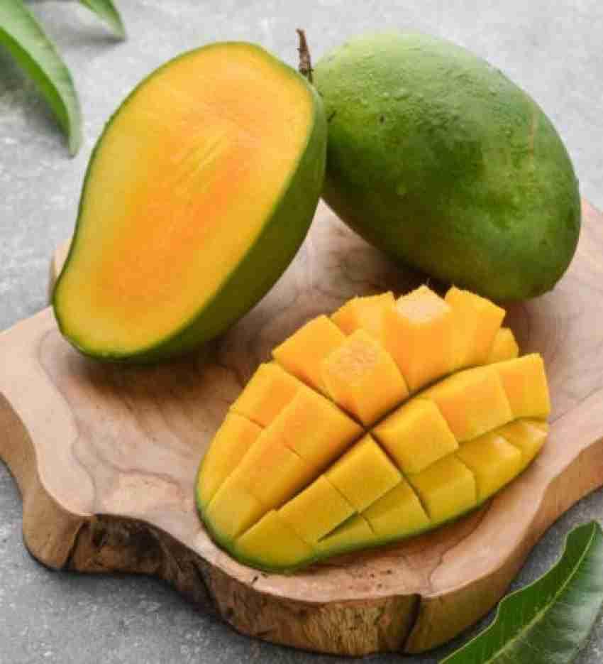 Image of Combo 2 ''Bhagalpuri Mango Tree Hybrid inch Original Desi Delicious Huge Productivity Rare Mango Fruit Grafted Live Plant Plant For Home Garden