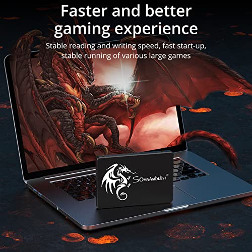Somnambulist Ssd 120Gb Sata Iii 6Gb/S Internal Solid State Drive 2.5″ 7Mm(0.28″) Read Speed Up To 550Mb/S 3D Nand For Laptop And Pc H650(120Gb Black Dragon) #TOP3