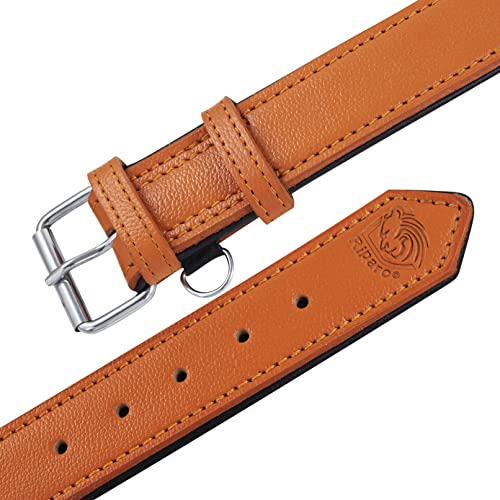 Riparo Echtes Leder Verstellbares Hundehalsband mit Zusätzlicher Verstärkung (L: 3,8CM Breit für 43,2CM - 53,3CM Hals, Orange)