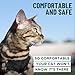 Houdini™ Escape Proof Cat Harness and Leash Set by OutdoorBengal – Black, Medium Cat Harness for Walking