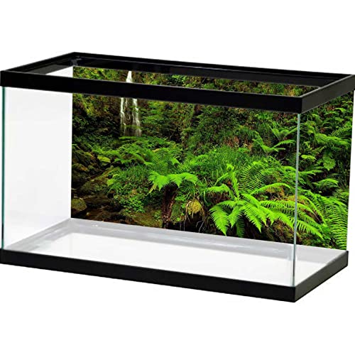 Foggy Forest Background, Pvc Static Cling Terrarium Background For Amphibian Marine Life, Tropical Rainforest Theme Wallpaper Durable Poster Stickers, 48" X 24" #TOP1
