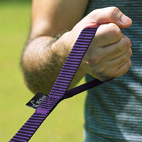 Image of Hi Kiss Dog /Puppy Obedience Recall Training Agility Lead - 15ft 20ft 30ft 50ft 100ft Training Leash - Great for Training, Play, Camping, or Backyard(15ft,Black Purple)