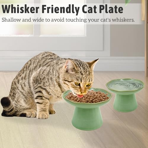 VCEPJH Elevated Shallow Cat Bowls 6.1in Ceramic Cat Food Plate Pack of 2 Raised Cats Dish Flat Anti Whisker Fatigue Wide Pet Food & Water Feeder for Indoor Kitty Kitten (Green) - Thumbnail 4