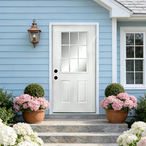 mikibama 36" x 80" Fiberglass Front Door with 4-9/16" Vinyl ...
