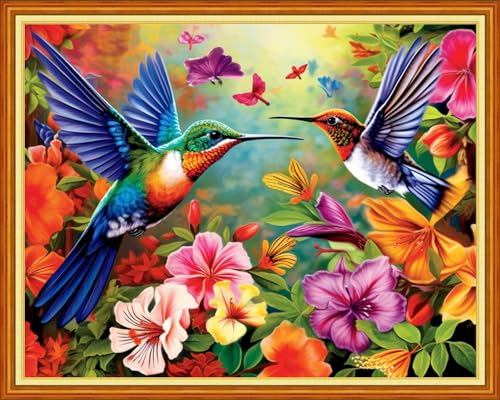 Image of Redxing Stamped Cross Stitch Kits Embroidery kit for Beginners Adults Full Range of Embroidery Patterns Starter Kits DIY Printed Cross Stitch Kits Needlepoint Kits 11CT-Hummingbird Flowers 16x20 inch