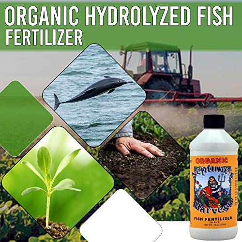 The 25 Best Neptune's Harvest Garden Fertilizers of 2023 [Verified