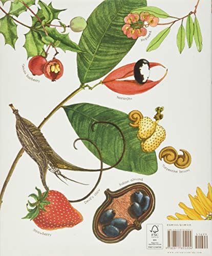 A Seed Is Sleepy (Sylvia Long) - Image 2