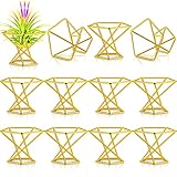 Funrous 12 Pcs Air Plant Holders Geometric Gold Airplants Rack Metal Geometric Decor Classic Modern Air Fern Plant Stands Mini Golden Planters Tillandsia Pot Containers for Office Home Wedding