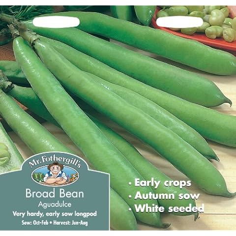 Mr Fothergill's Broad Bean Aguadulce Seeds Cover