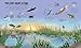 My Nature Collection: Up in the Air: Seek, find and celebrate nature's treasures with the Natural History Museum
