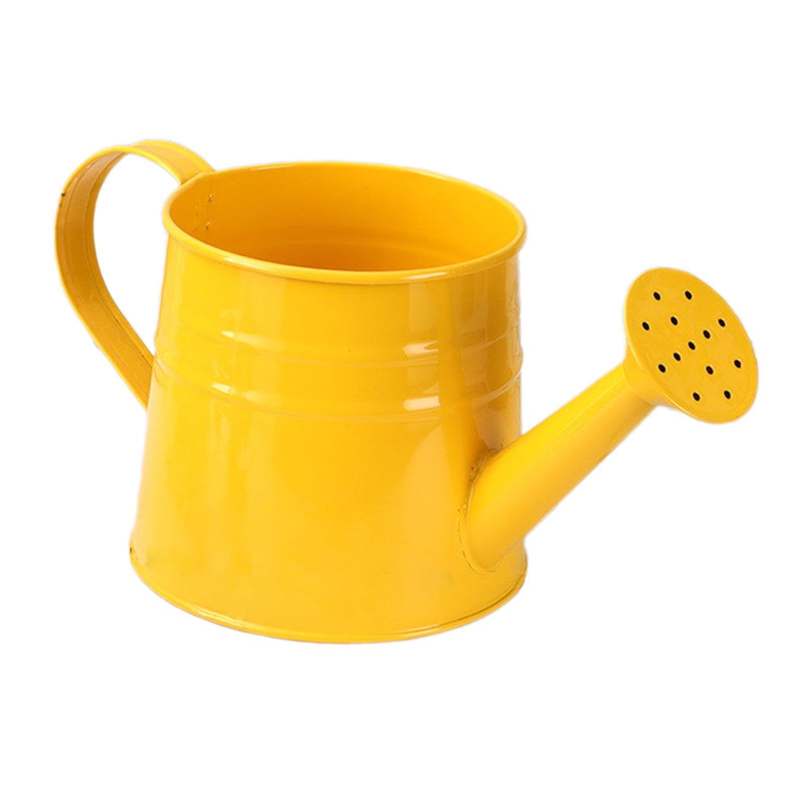 POXZSFX Stylish Portable Watering Can Ergonomic Sprinkler Addition To Indoor Plants And Yard Adding Lively Atmosphere To Home. Sprinkling Can Decorative Accessories Garden Lawn