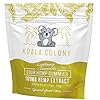 Koala Colony Hemp Gummies – Lightning Lemonade Flavor – Sour Hemp-Infused Gummies