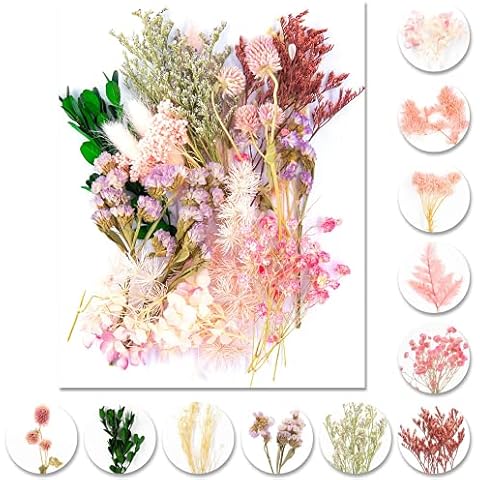 iDattel Natural Dried Flowers,Multiple Flowers Natural, DIY Natural Dried Flower Set for Arts and Crafts DIY Resin Jewelry Craft Cards Making(Light Pink) Cover