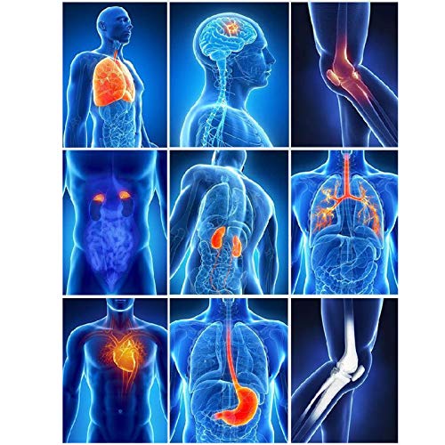 JYT GROUP Quantum Resonance Magnetic Health Analyzer laatste versie - Image 7