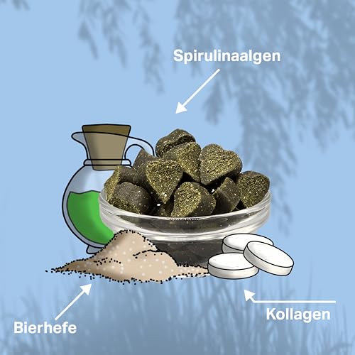 MEDIDOG Welpenstärker – 400g – 13in1 für Welpen und Junge Hunde – für die Wachstumsphase, mit Bierhefe, Calcium, Kollagen, Spirulina, Chlorella, Algenöl UVM.- kaltgepresst & getreidefreie Rezeptur