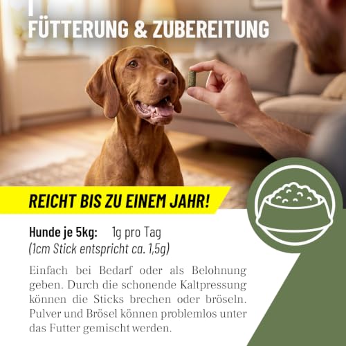 ReaVET Hunde Leckerlis mit Hanf 400g, Wohlfühl Sticks - Natürliche Beruhigung & Entspannung bei Angst oder Stress - Hundeleckerlis, Hundekekse aus Hanfpresskuchen getreidefrei & naturbelassen