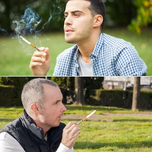 Cigarette Holder Gilt Plating Reusable Clean Tar Tobacco Filter with Multi-Filtering for Standard Size Cigarettes Ø8mm,Slim Cigarettes Ø6mm and Ø5mm (Gold)