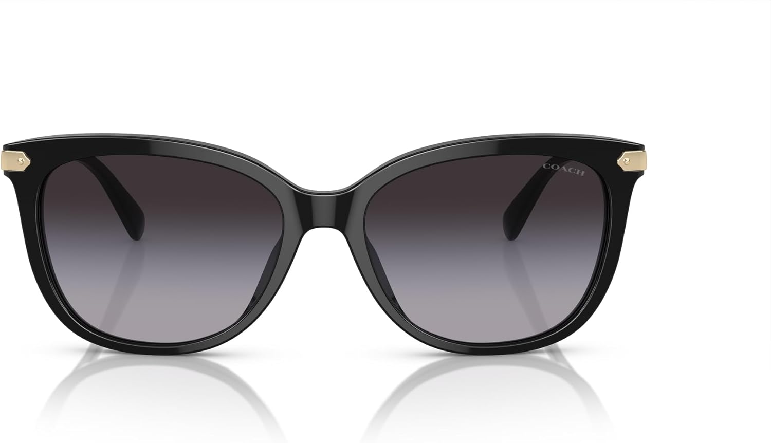 COACH womens Hc8378u Universal Fit Cat Eye Sunglasses