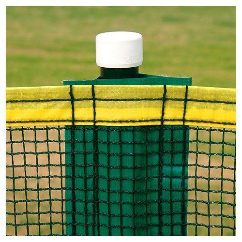 Transform Your Backyard Into A Professional Wiffle Ball Field With The