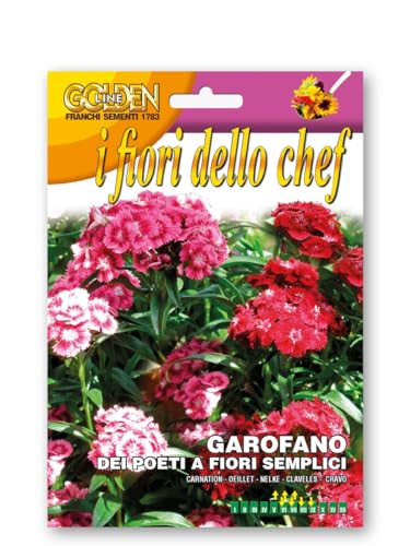 SEMI DI GAROFANO DEI POETI A FIORI SEMPLICI