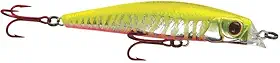 ISCA MARINE SPORTS REI DO RIO 80