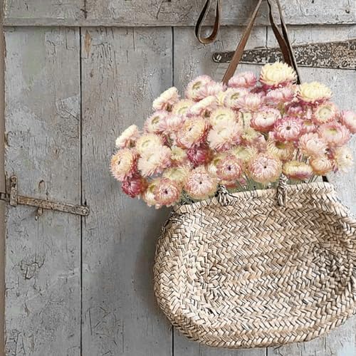 CEWUDA 20 Stück Strohblumen Getrocknet mit Stiel Blumenköpfe Naturgerbera Echte Sonnenblumen Rosa Chrysanthemen Trockenblumenarrangements für Hochzeits Heimpartydekoration Bastelarbeiten