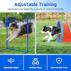 Dog Agility Course Backyard Set Dog Agility Equipment Obstacle Course Backyard Includes Adjustable High Hurdle,6 Weave Poles,Extended Tunnel,Jump Ring,Square Pause Box,2 Balls,Whistle,2 Carrying Bags Dog Agility Course Backyard Set Dog Agility Equipment Obstacle Course Backyard Includes Adjustable High Hurdle6 Weave PolesExtended TunnelJump RingSquare Pause Box2 BallsWhistle2 Carrying Bags