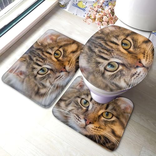 gC}bg Zbg 3_  ˂ ybg O[ }bg gCWJo[ U^ O^ gC}bg Zbg ~ z  h ֊ӂJo[ ƒp zep