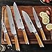 HOSHANHO 5 Pieces Kitchen Knife Sets, Ultra Sharp Professional Damascus Super Steel Chef Knives Sets with Ergonomic Olive Wood Handle, Including Chef, Bread, Santoku, Utility & Paring Knives