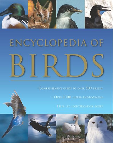 European Birds