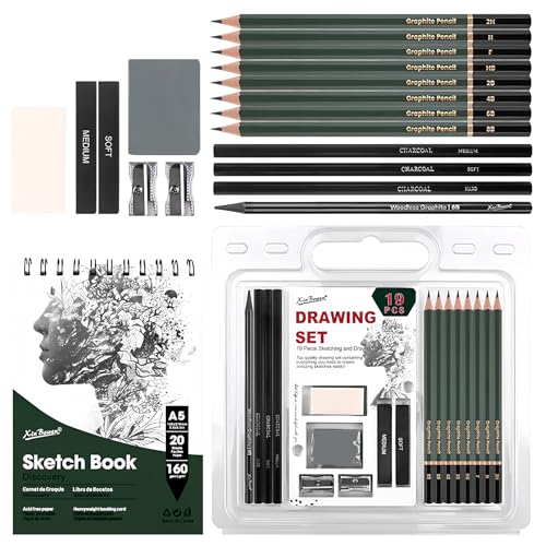 hicoosee Set Matite da Disegno Professionale, 19 Pezzi Matite da Disegno Set, Art Supplies con Matita, Gomma, Antracite Accessori per Artisti, Studenti, Insegnanti, Principianti hicoosee Set Matite da Disegno Professionale, 19 Pezzi Matite da Disegno Set, Art Supplies con Matita, Gomma, Antracite Accessori per Artisti, Studenti, Insegnanti, Principianti