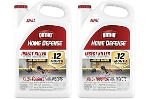 Powerful Home Defense Pest Control for Enhanced Indoor and Perimeter Protection