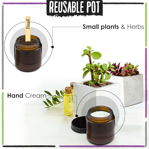 ecoKiwi Candles Gifts for Women - 3x100g - Vegan Vanilla & Sea Salt, Pomegranate & Grapefruit, Lime & Basil - Scented Candle Gift Sets for Women - Soy Wax Spa Aromatherapy Candle Set in Glass Jars - Image 6