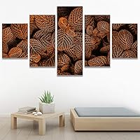 SIGNWIN 5 Panel Canvas Wall Art Modern Art Decorative Elements Expressive Leaves Multicolor Patterns Photography for Home Decorations Ready to Hang - 60