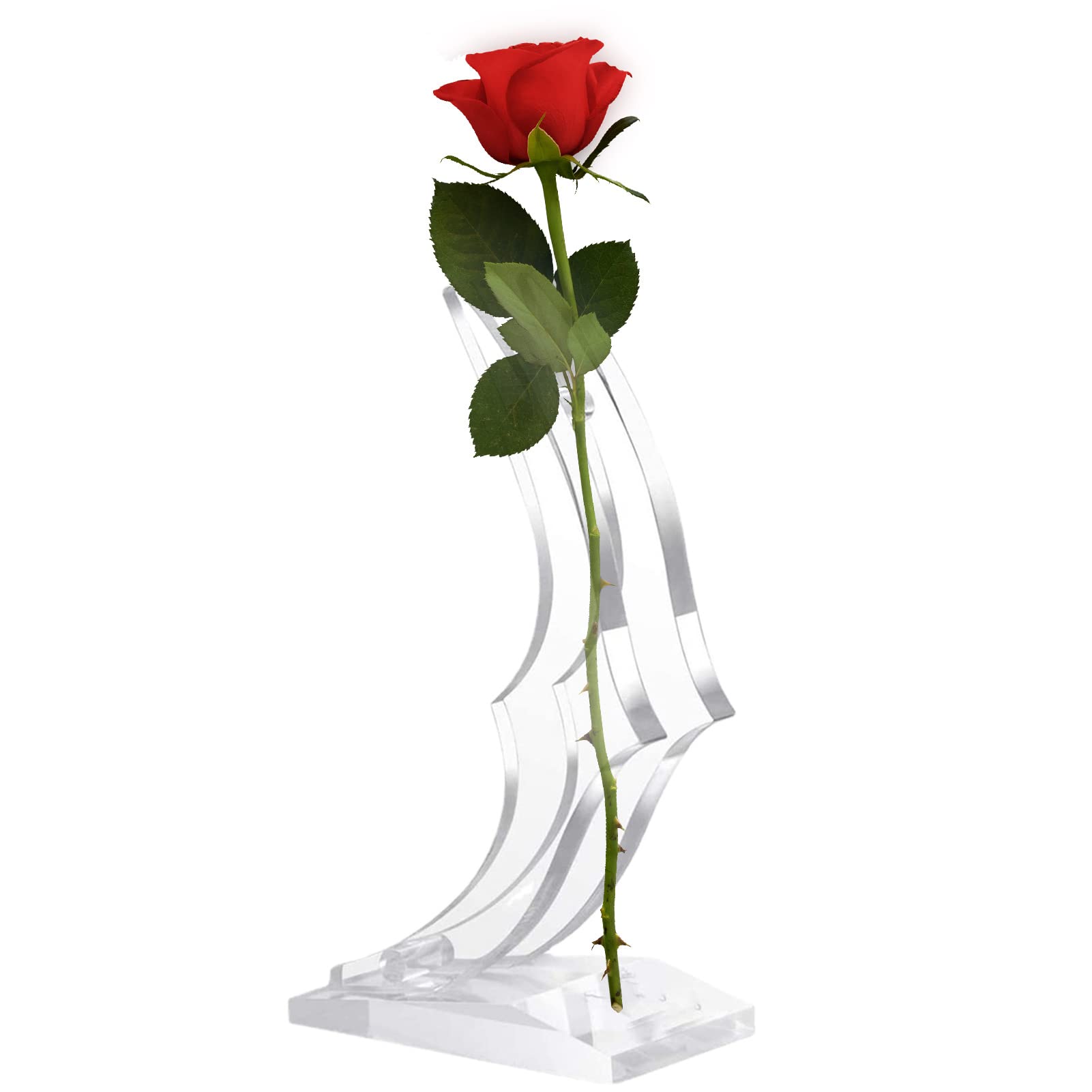 Bevog Transparent Rose Displays Stands, 24K Gold Rose Stand, Tranparrent Moon Acrylic Rose Holder With Stable Base, Single Stem Flower Vase, Clear Rose Flower Stand For Valentines, Anniversary, Party
