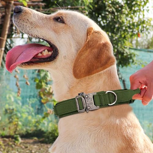 MUNSKT Tactical Dog Collar with Handle - Image 2