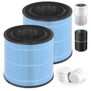SAKEGDY AP0601 Replacement Filter, Compatible with AIRTOK AP0601 Air Purifier, Part # AP0601-RF, 2 Pack H13 True HEPA Filters + 10 pieces aroma sponge pads